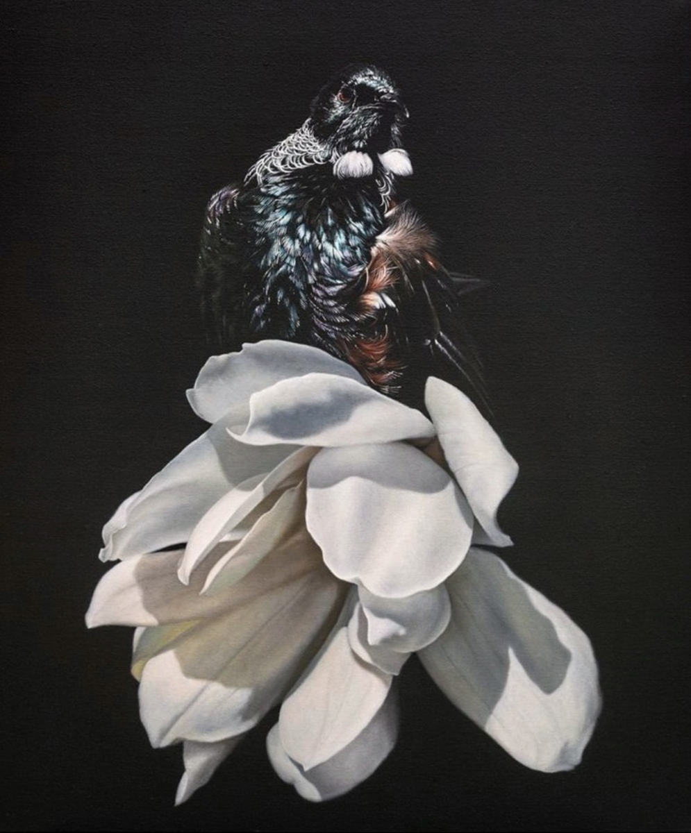 Jane Crisp Boundaries limited edition contemporary bird print at Parnell Gallery Auckland NZ