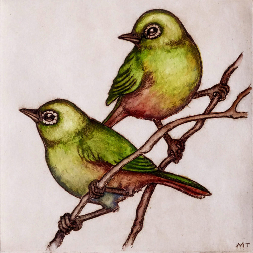Mary Taylor Silvereyes / Tauhou hand coloured etching NZ bird limited edition print at Parnell Gallery Auckland NZ