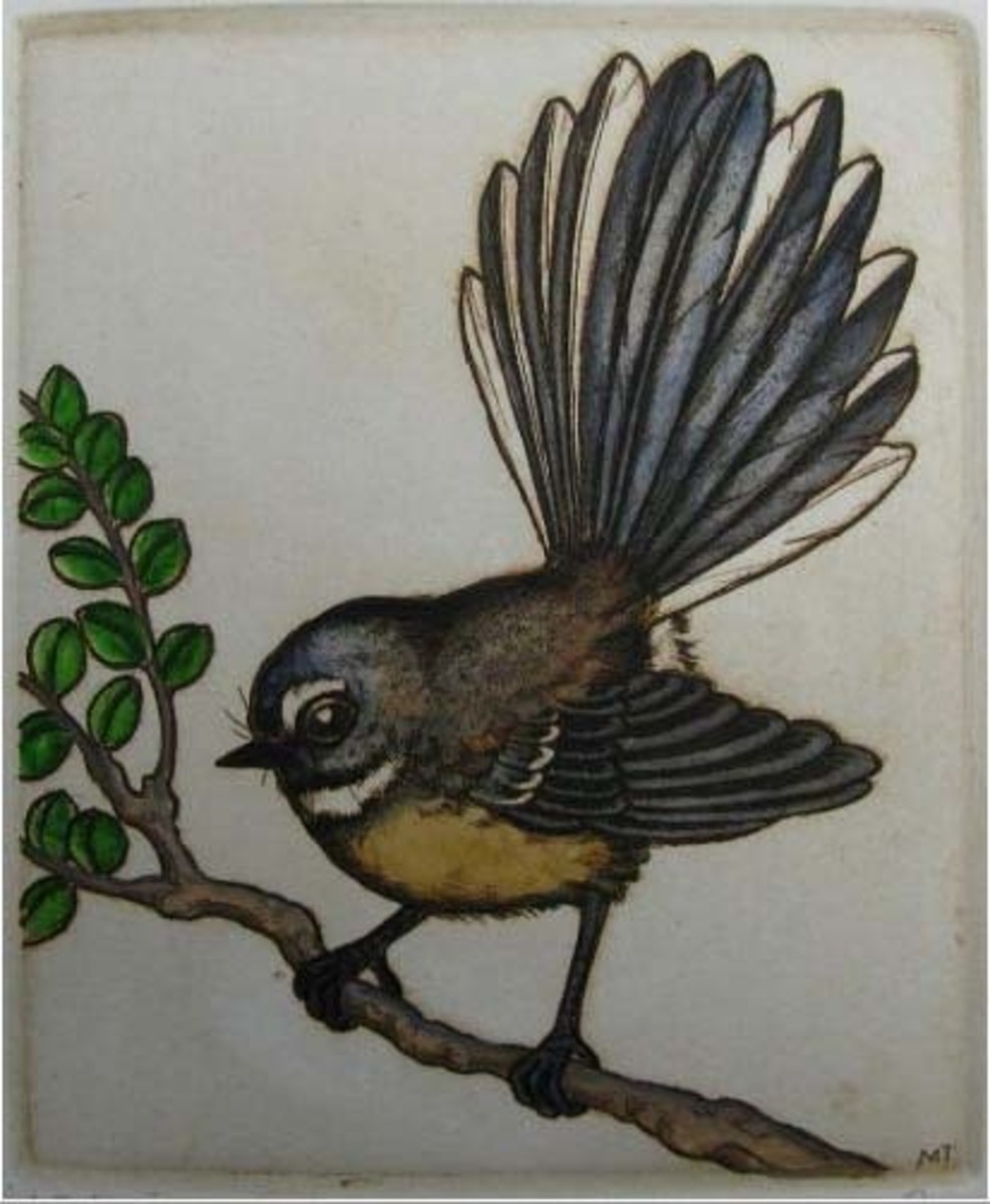 Mary Taylor Fantail hand coloured etching NZ bird limited edition print at Parnell Gallery Auckland NZ