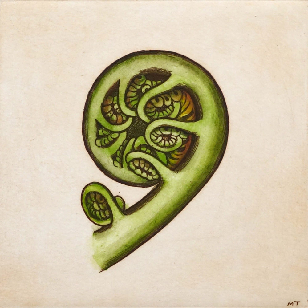 Mary Taylor Koru II hand coloured etching NZ native plant limited edition print at Parnell Gallery Auckland NZ