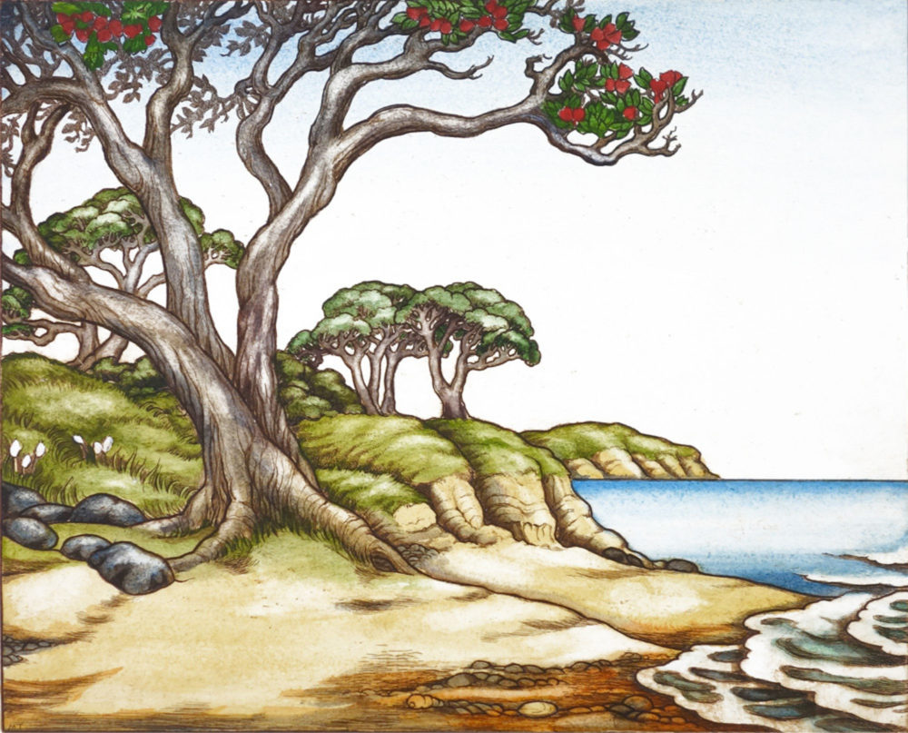 Mary Taylor Sand & Sea hand coloured NZ landscape etching limited edition print at Parnell Gallery Auckland NZ