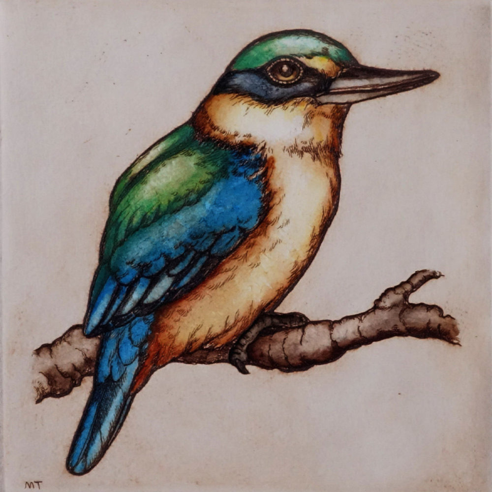 Mary Taylor Kingfisher / Kotare hand coloured etching NZ bird limited edition print at Parnell Gallery Auckland NZ
