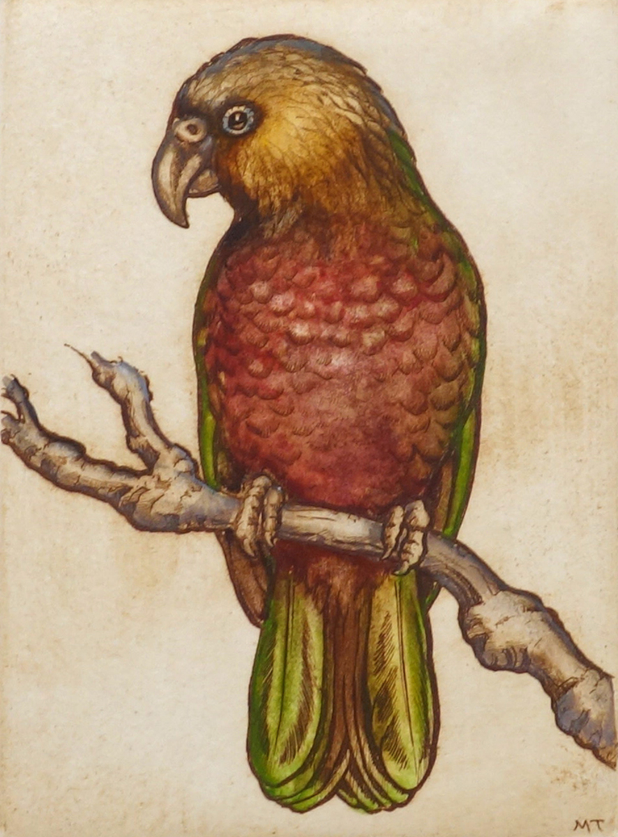 Kaka