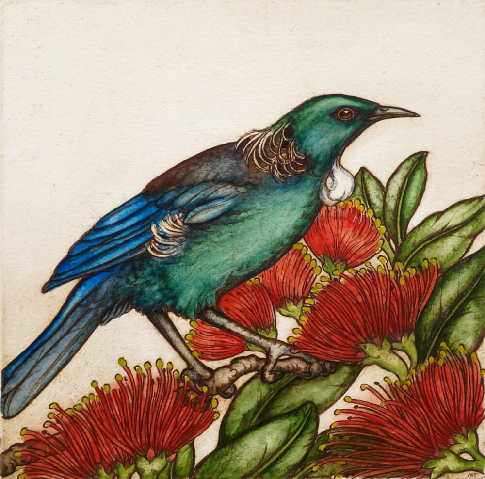 Mary Taylor Summer Tui hand coloured etching NZ bird limited edition print at Parnell Gallery Auckland NZ