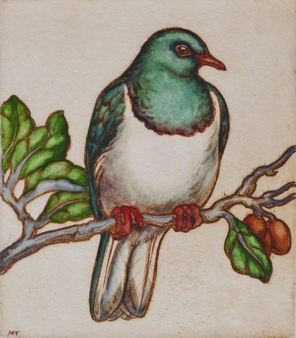 Mary Taylor Kereru hand coloured etching NZ bird limited edition print at Parnell Gallery Auckland NZ
