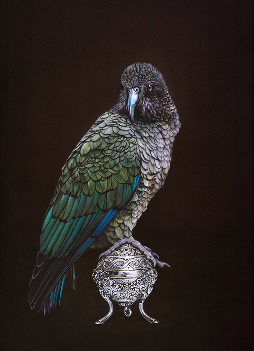 Jane Crisp Kea on Vessel limited edition contemporary bird print at Parnell Gallery Auckland NZ