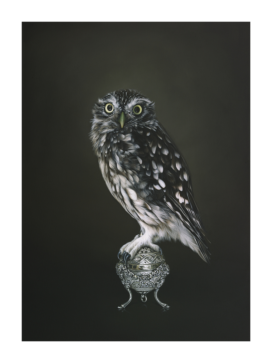 Jane Crisp Prosperity limited edition contemporary bird print at Parnell Gallery Auckland NZ