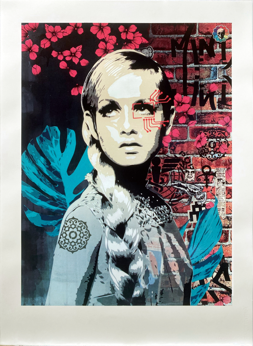 Brad Novak AKA New Blood Pop The Face 1.5 (A) limited edition fine art print of Twiggy