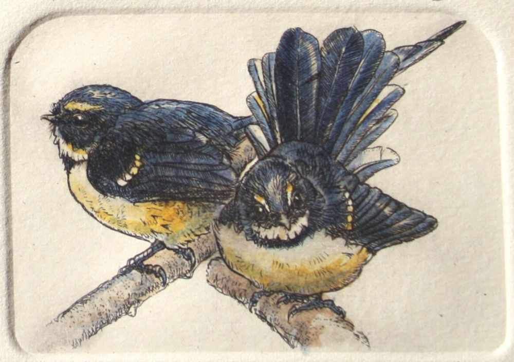 Russell Jackson New Zealand Fantails Parnell Gallery Auckland NZ