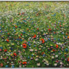 Peter Hackett The Honeymooners' Bed original impasto oil painting at Parnell Gallery Auckland NZ