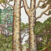 Mary Taylor Kauri Trees hand coloured etching NZ trees limited edition print at Parnell Gallery Auckland NZ