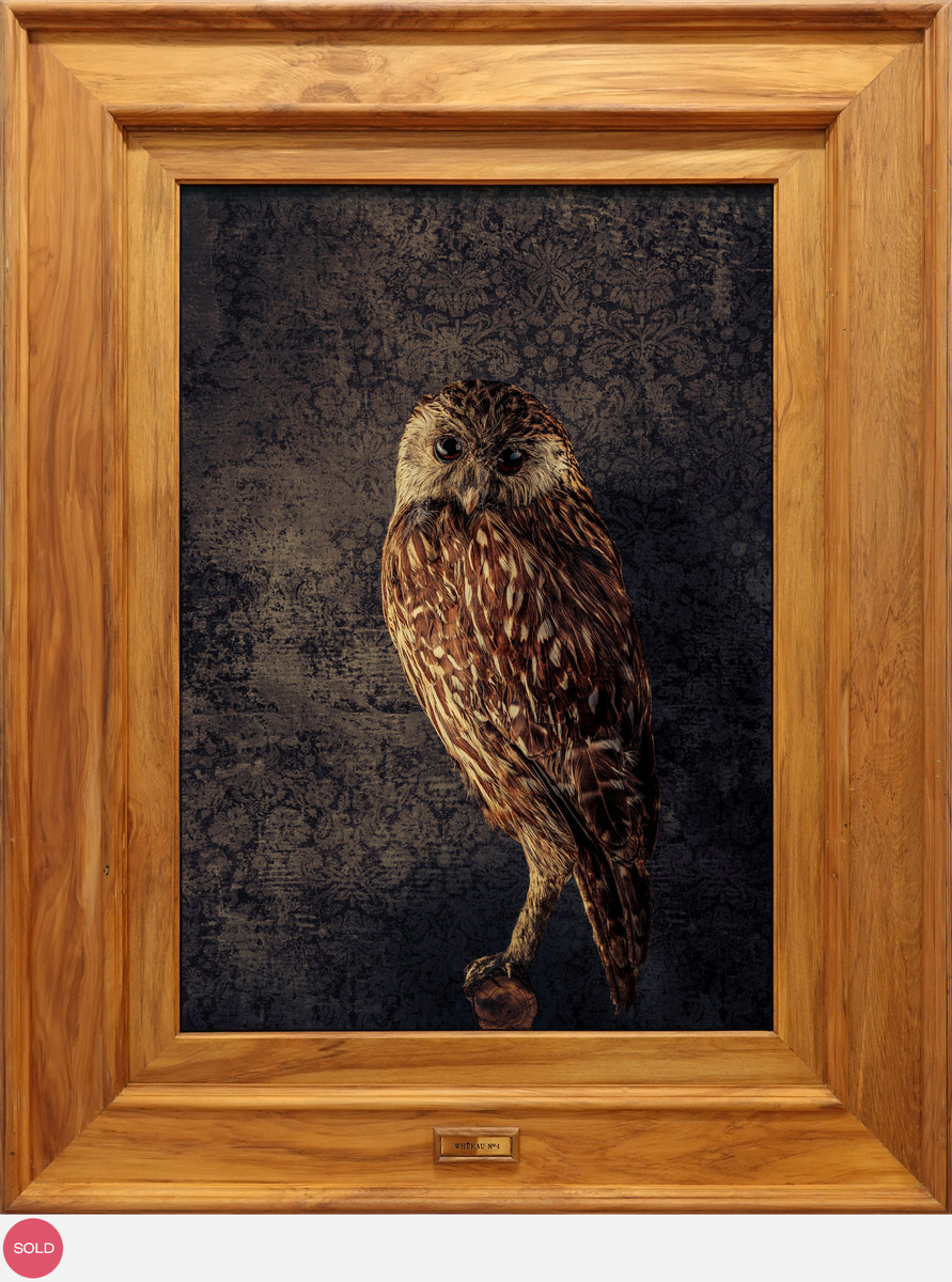 Jae Frew Whēkau No.1 bird photograph on archival paper at Parnell Gallery Auckland NZ