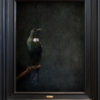 Jae Frew Tui No. 2 bird photograph on archival paper at Parnell Gallery Auckland NZ