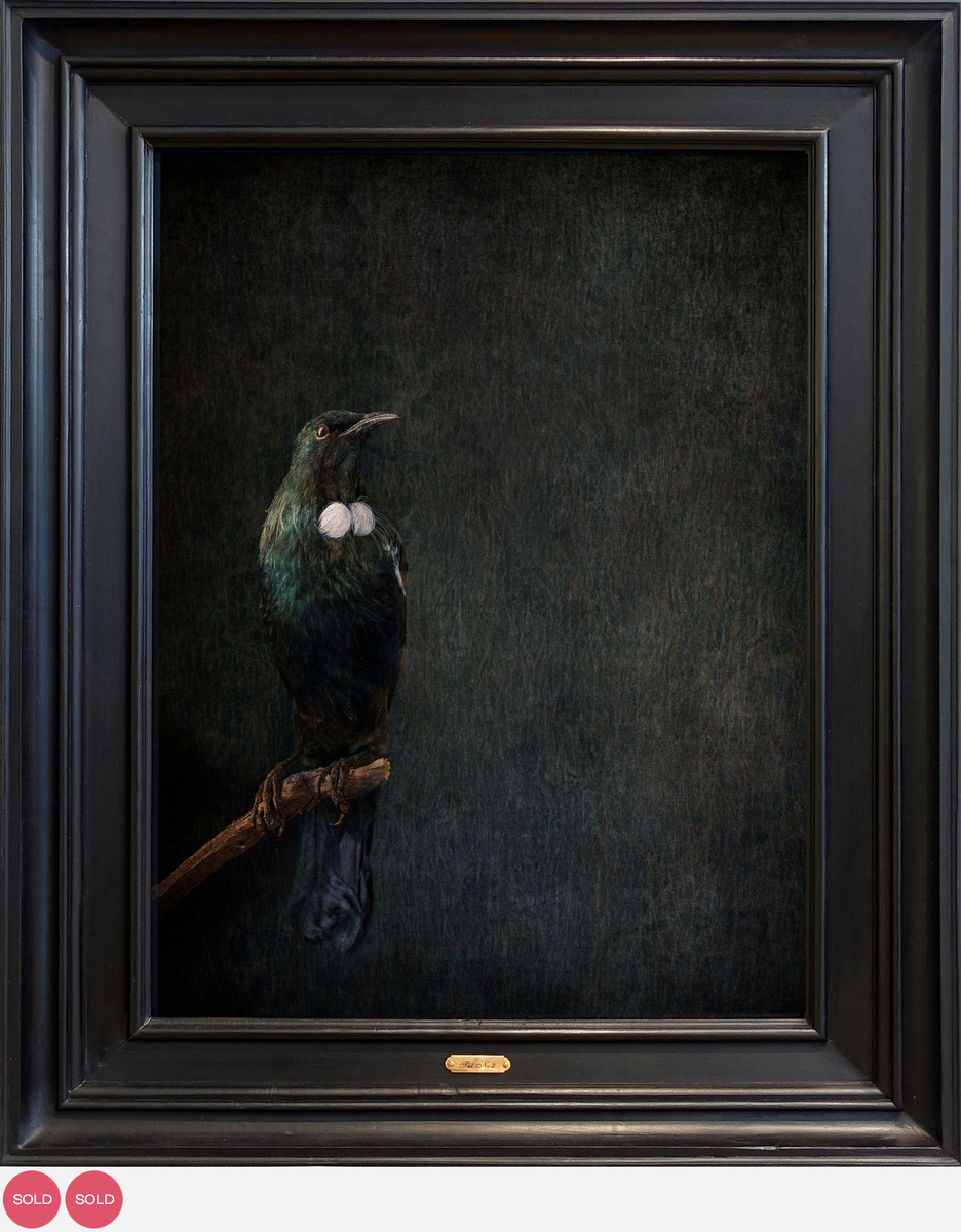 Jae Frew Tui No. 2 bird photograph on archival paper at Parnell Gallery Auckland NZ