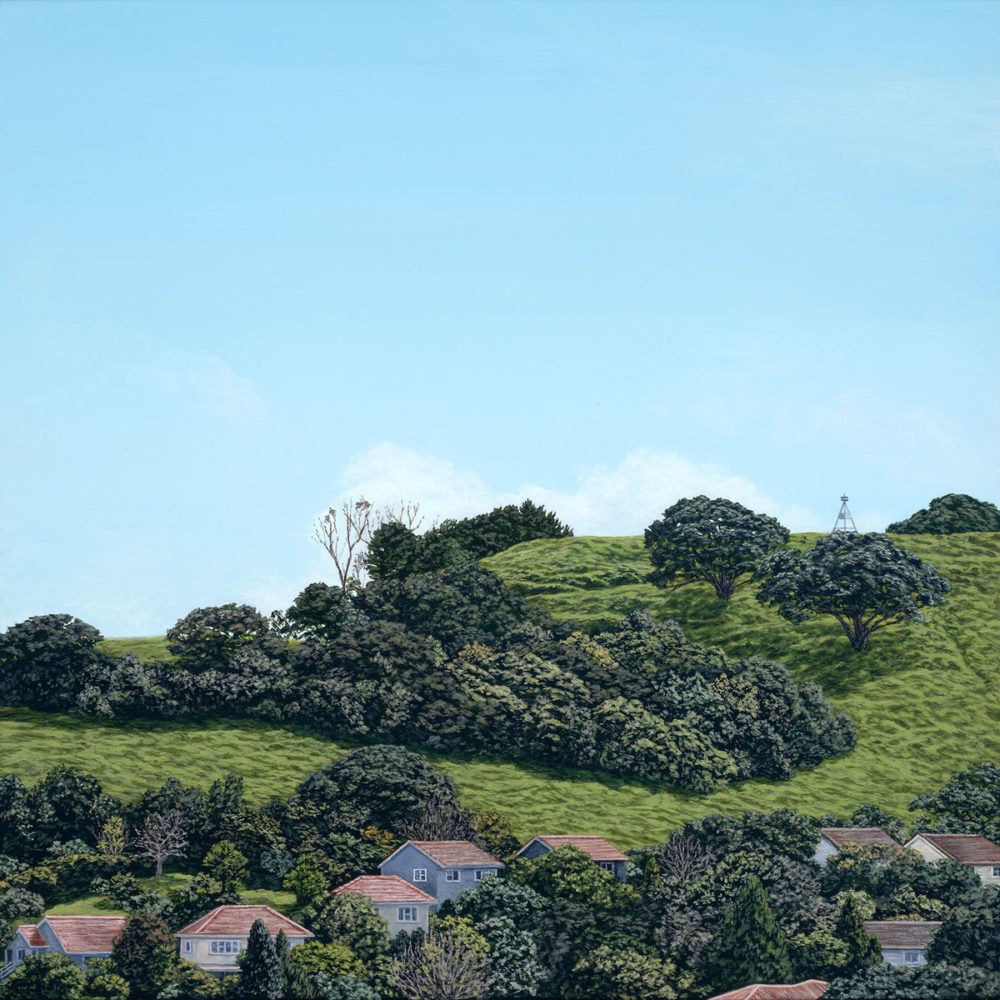 Mt Albert in Winter