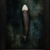 Jae Frew Huia No.2 bird photograph on archival paper at Parnell Gallery Auckland NZ