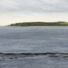 Tawharanui, Dusk