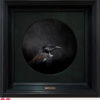 Jae Frew Tūī No.1 bird photograph on archival paper at Parnell Gallery Auckland NZ