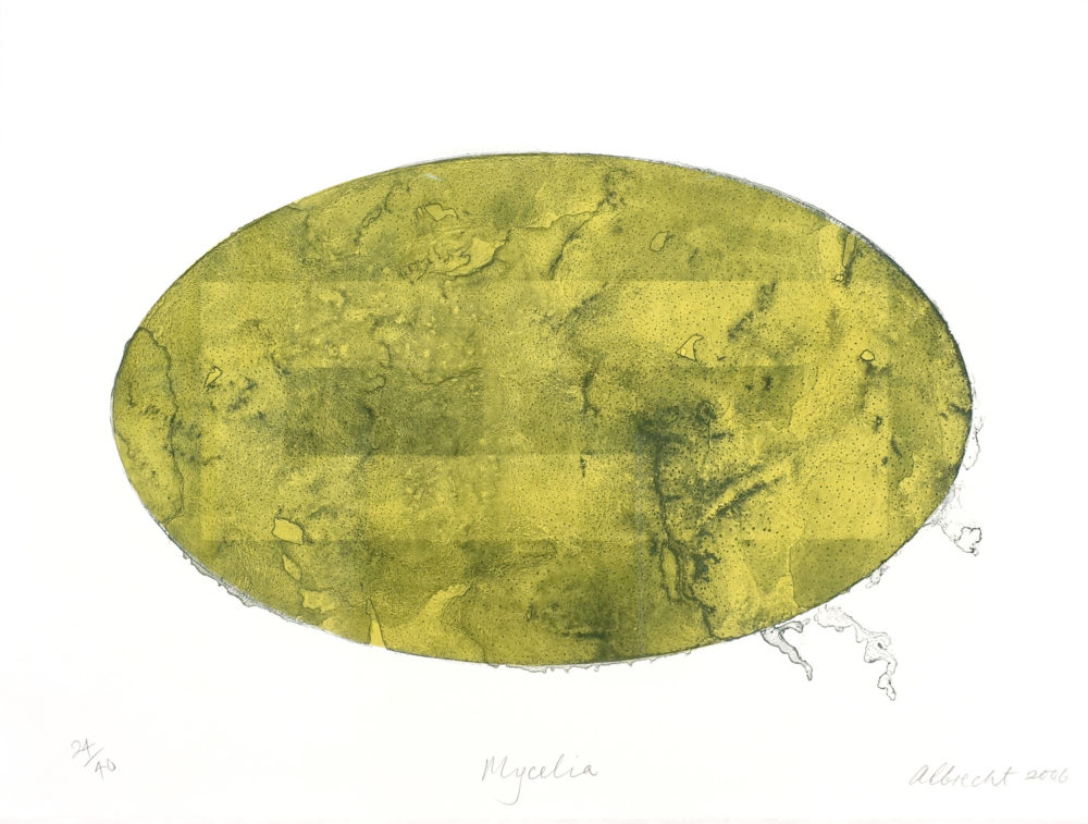 Gretchen Albrecht Mycelia limited edition abstract expressionist Lithograph at Parnell Gallery Auckland NZ