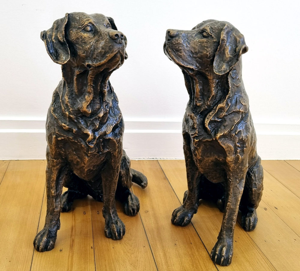 Richard Wells bronze pair of labrador dog sculpture for indoor or outdoor Parnell Gallery Auckland NZ