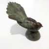 Fantail