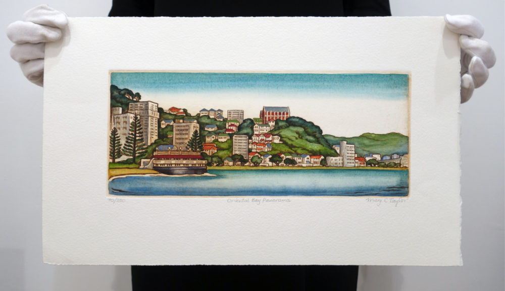 Oriental Bay Panorama