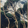 Te Henga Kānuka