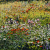 Peter Hackett The Honeymooners' Bed original impasto oil painting at Parnell Gallery Auckland NZ