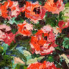 Parnell Rose Gardens