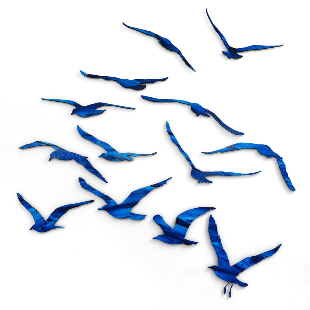 Blue Gulls
