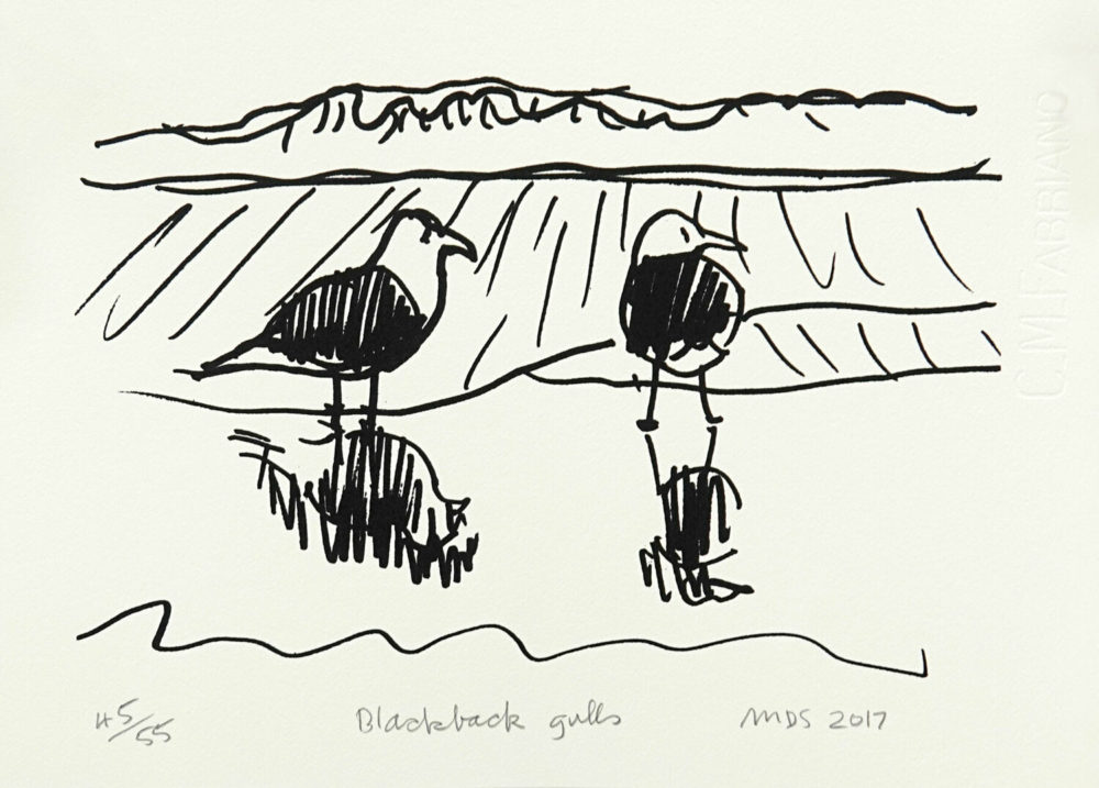 Michael Smither Black-back Gulls limited edition fine art print at Parnell Gallery Auckland NZ