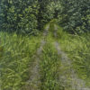 Landscape Study IV