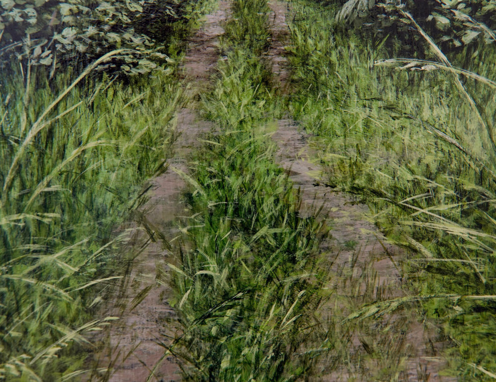 Landscape Study IV
