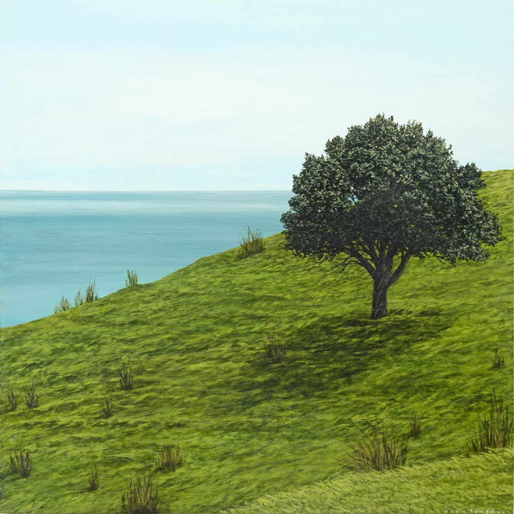 Landscape Study III