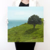 Landscape Study III