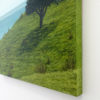 Landscape Study III