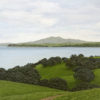 Path to the Sea (Waiheke Island)