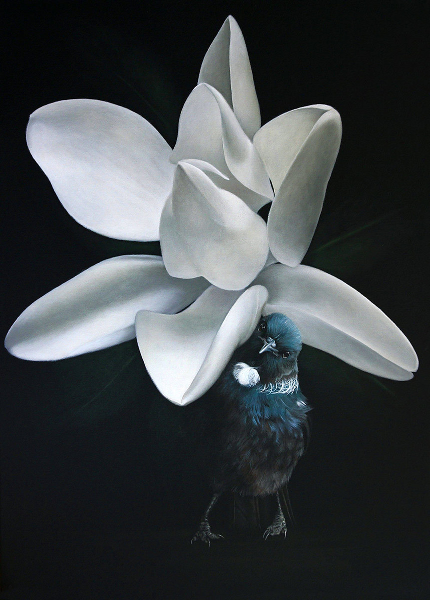 Jane Crisp Hide and Seek limited edition contemporary bird print at Parnell Gallery Auckland NZ