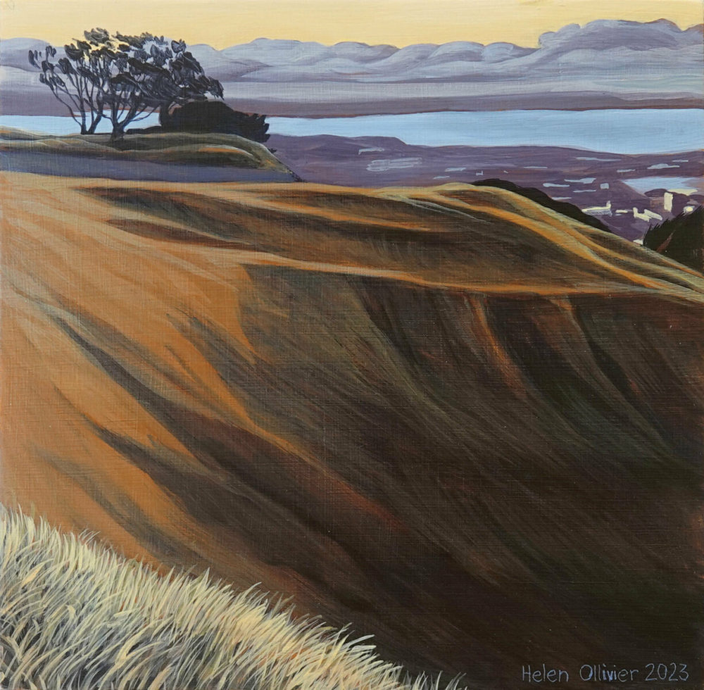 Maungawhau I
