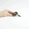 Contour - Miniature