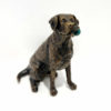 Fetch - Miniature