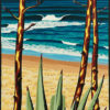 Agaves - Hot Water Beach