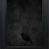 Jae Frew Karure No.1 bird photograph on archival paper at Parnell Gallery Auckland NZ