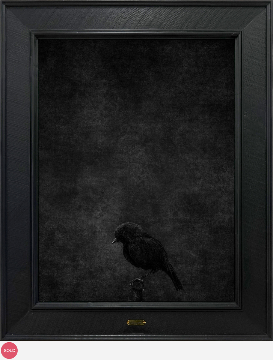 Jae Frew Karure No.1 bird photograph on archival paper at Parnell Gallery Auckland NZ