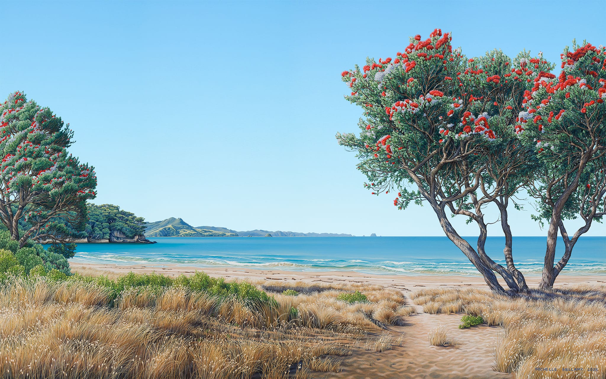 Summer Afternoon at Cooks Beach
