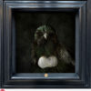 Jae Frew Tūī No.3 bird photograph on archival paper at Parnell Gallery Auckland NZ