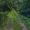 Secret Gardens