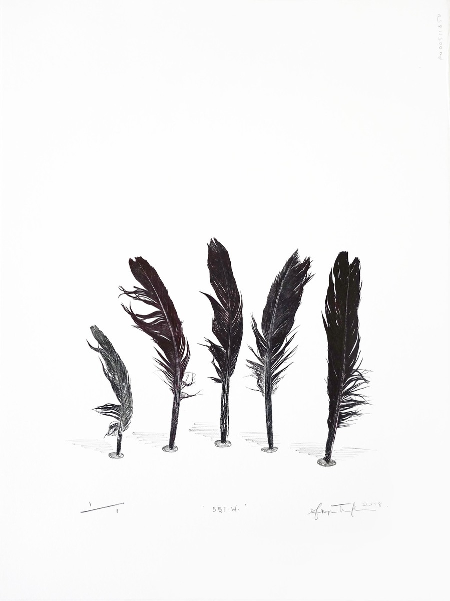 Sheyne Tuffery 5 Black Feathers, Wakefield Parnell Gallery Auckland NZ