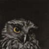 Gareth Barlow Ruru original painting at Parnell Gallery Auckland NZ