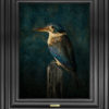 Jae Frew Kōtare No.2 bird photograph on archival paper at Parnell Gallery Auckland NZ